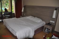 The room.